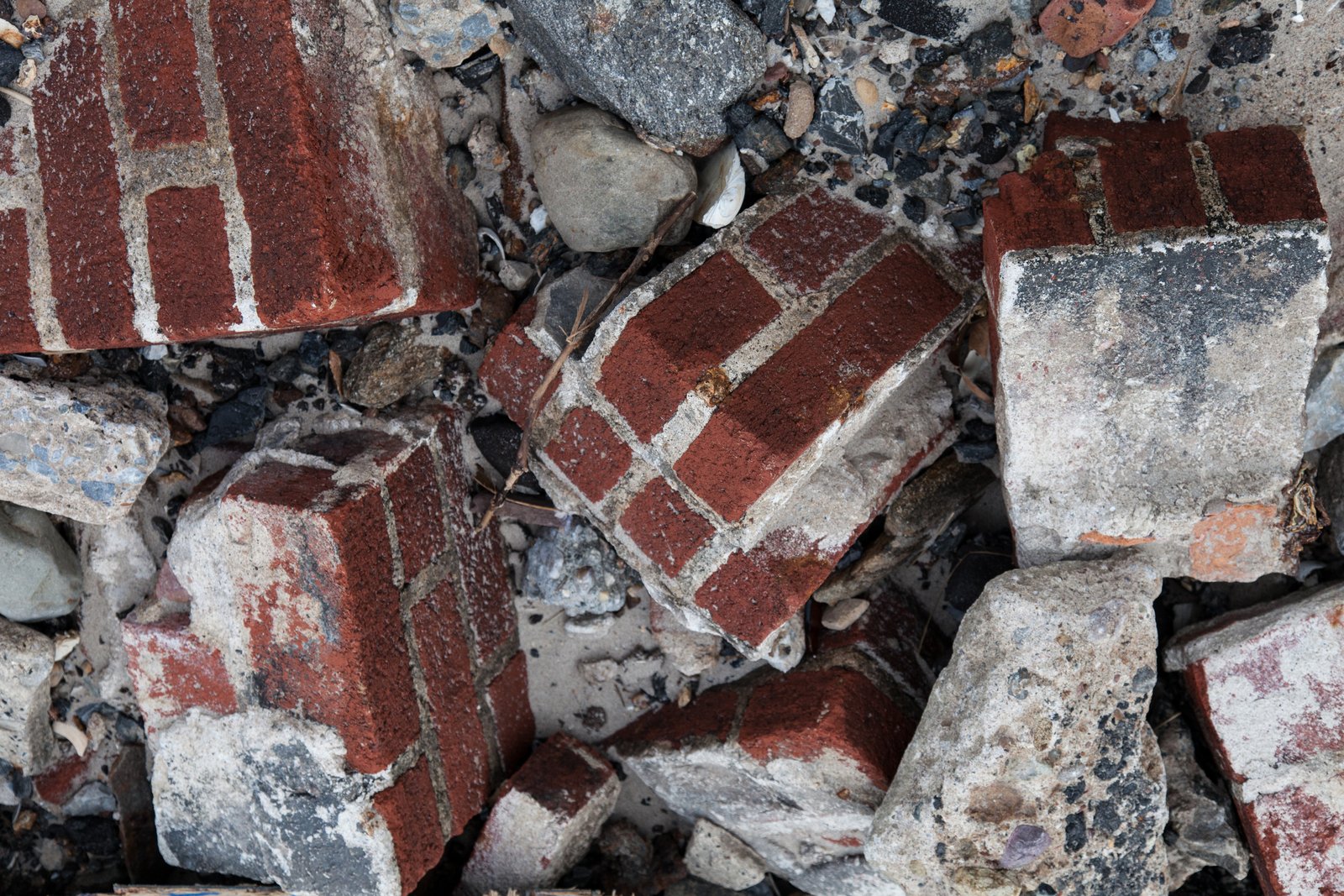 art-of-sandy-mo-seagate 2-28.jpg